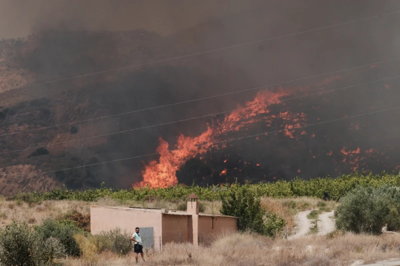 A forest fire devastates an expat community in southern Spain, leaving at least 12 dead and 23 missing | De Último Minuto English