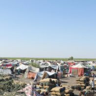 Dominican Republic calls for an end to hostilities in Sudan before the UN | De Último Minuto English