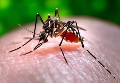 Public Health registers new dengue cases and raises the number of infections to 171 in 2026 | De Último Minuto English
