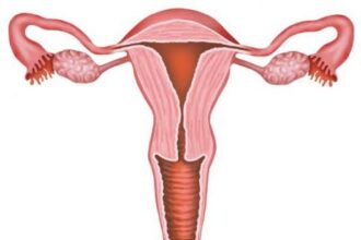 Keeping the uterus could be more effective than removing it, according to a study | De Último Minuto English
