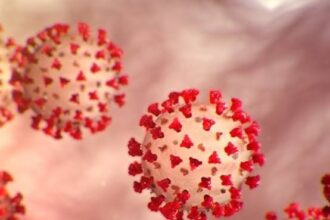 COVID-19 remains the most circulating respiratory virus in the Dominican Republic | De Último Minuto English