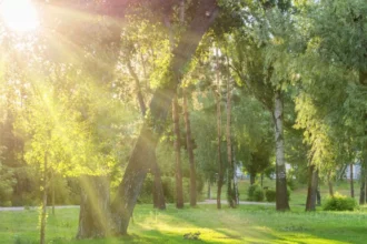 Intense heat will predominate this Saturday; isolated showers are expected during the afternoon | De Último Minuto English