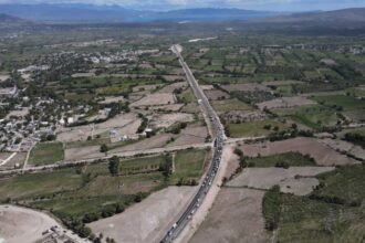 Government announces plan to plant 10 million plants on the country's highways and avenues | De Último Minuto English