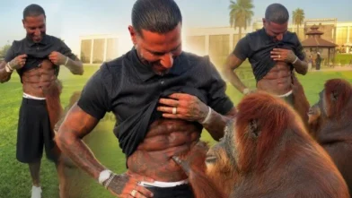 Orangutan fascinated by Ricardo Quaresma's abs during zoo visit