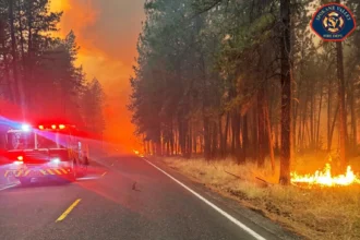 United States declares emergency to combat out-of-control wildfires in the northwest | De Último Minuto English