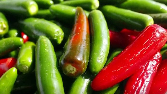 U.S. investigates salmonella outbreak associated with jalapeños imported from Mexico