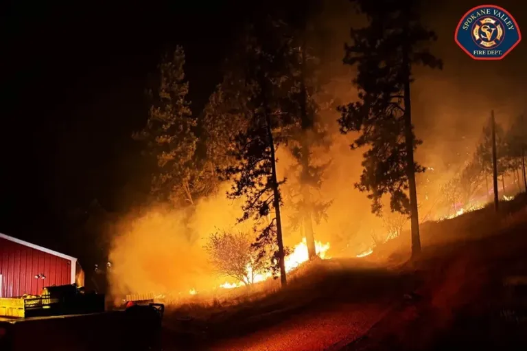 More than 65,000 evacuated and 700 homes destroyed by severe wildfires in the northwestern US