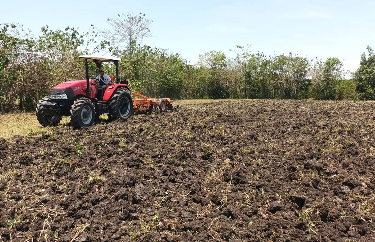 Agriculture presents National Mechanization Program in the face of labor shortages
