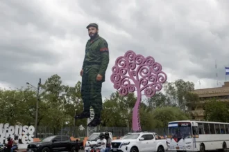 Rosario Murillo labels critics of the Fidel Castro sculpture in Nicaragua as “traitors” | De Último Minuto English