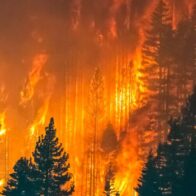 Wildfires ravage Europe: dozens injured and thousands evacuated | De Último Minuto English