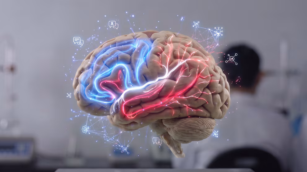 How to know if your brain is aging well or too fast