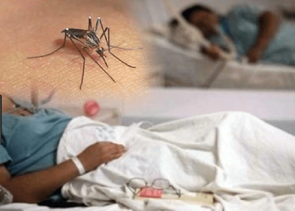 Dengue adds 11 cases in one week and reaches 213 infections in 2026