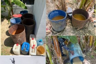 Clandestine adulterated alcoholic beverage factory dismantled and stolen motorcycle recovered in Barahona | De Último Minuto English
