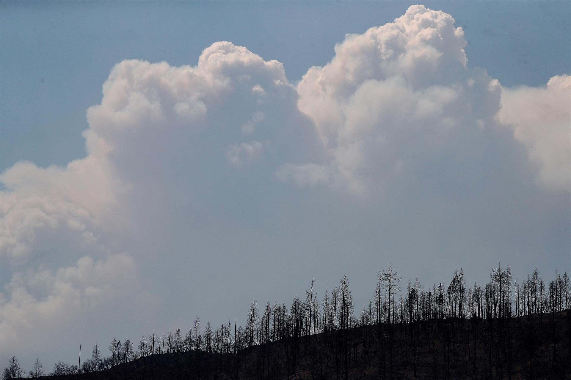 Preocupación por los incendios en California ante un nuevo aumento del calor - Noticias de hoy en República Dominicana | De Último Minuto