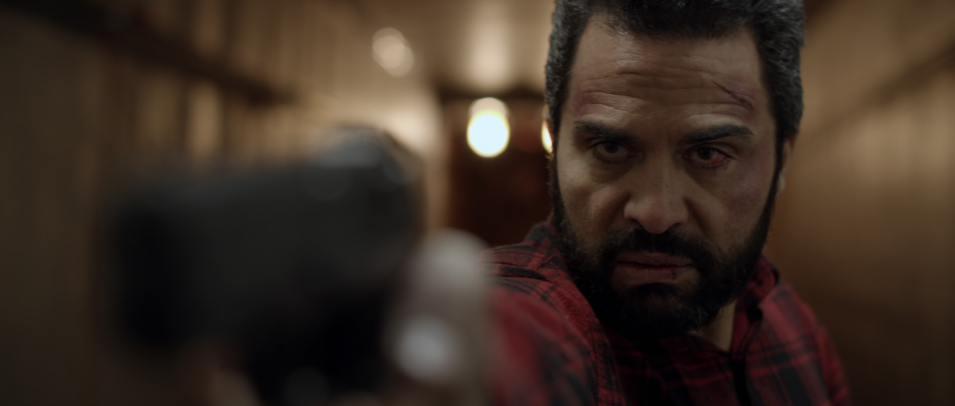 La Soga 2 se presentará en el Festival Internacional de Cine de Toronto (TIFF) - Noticias de hoy en República Dominicana | De Último Minuto