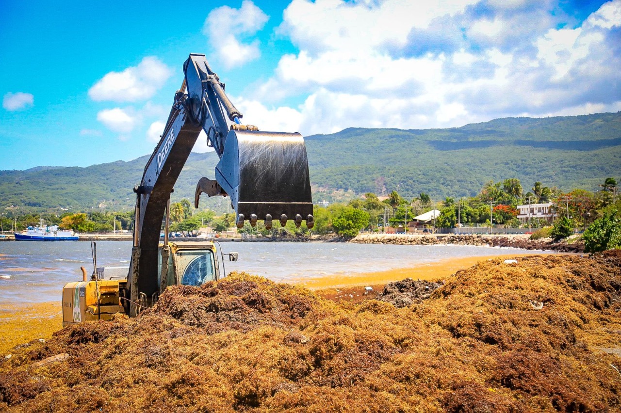 Recomiendan utilizar la barrera Mursargaz para erradicar el sargazo en playas de RD - Noticias de hoy en República Dominicana | De Último Minuto