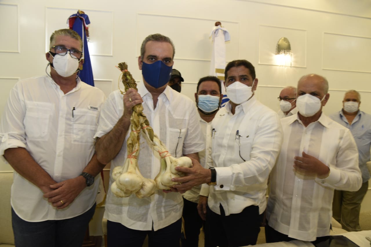 Gobierno garantiza autosuficiencia de ajo en el país en los próximos dos años - Noticias de hoy en República Dominicana | De Último Minuto