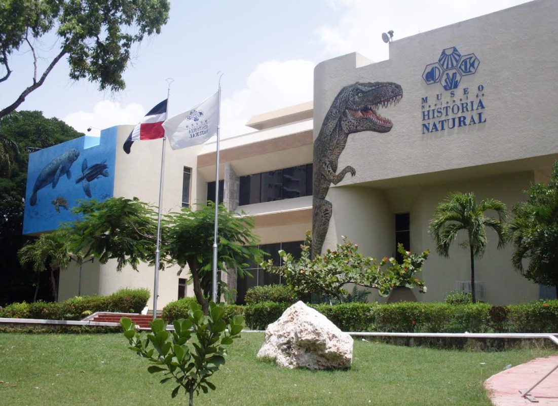 Dirección de Museos pasa a ser un órgano desconcentrado del Ministerio de Cultura - Noticias de hoy en República Dominicana | De Último Minuto