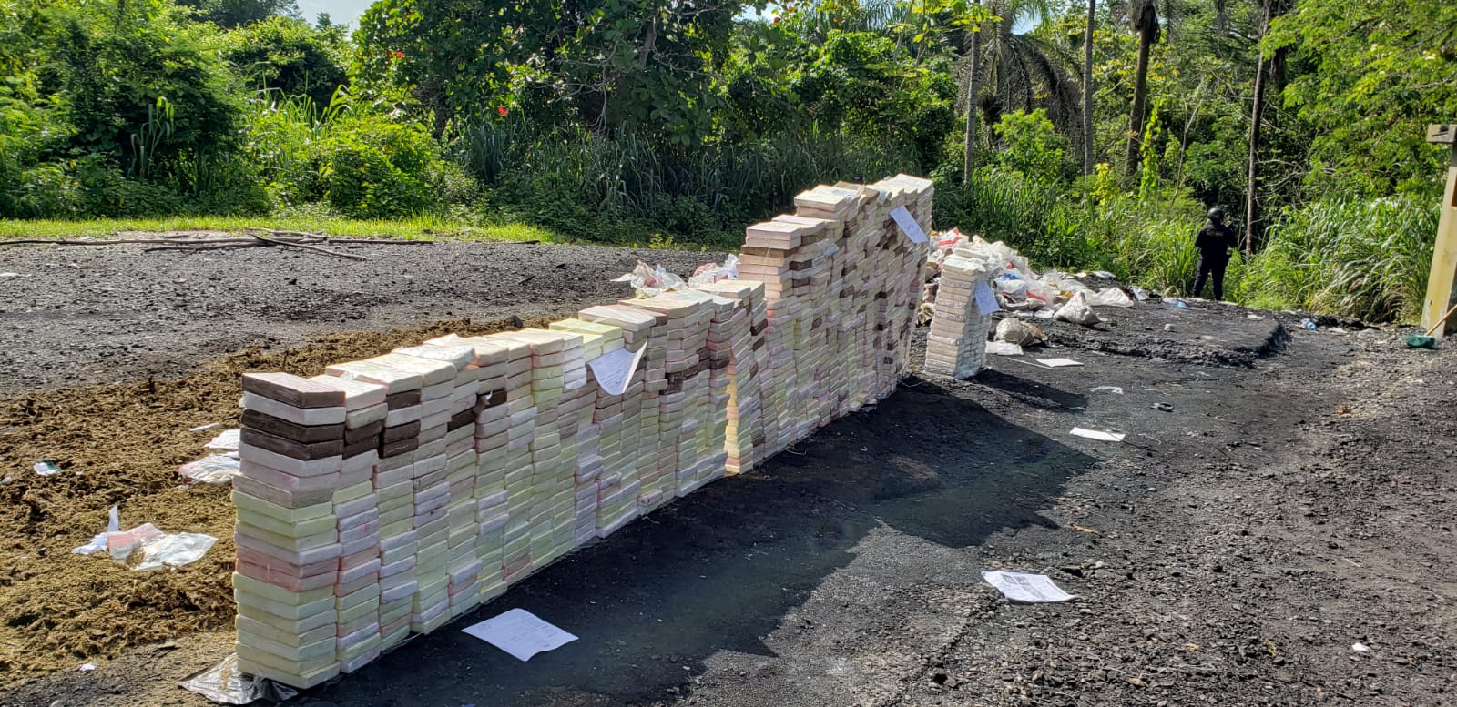 Autoridades incineran 1,200 kilos de distintas drogas - Noticias de hoy en República Dominicana | De Último Minuto