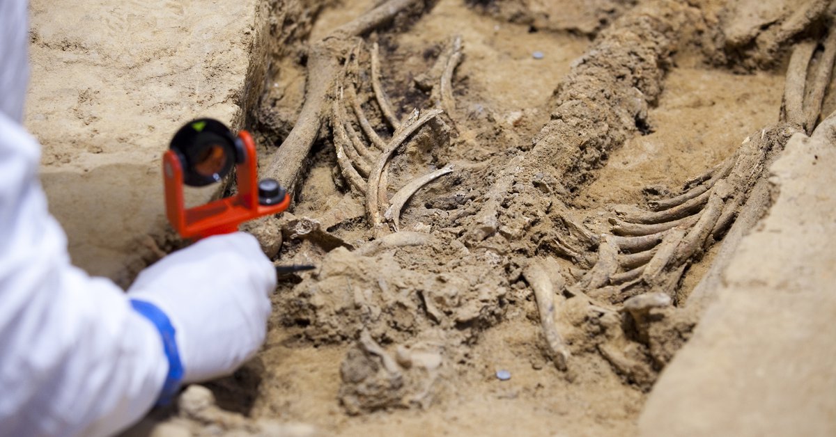 Un hueso de 51.000 años revela la capacidad simbólica de los neandertales - Noticias de hoy en República Dominicana | De Último Minuto