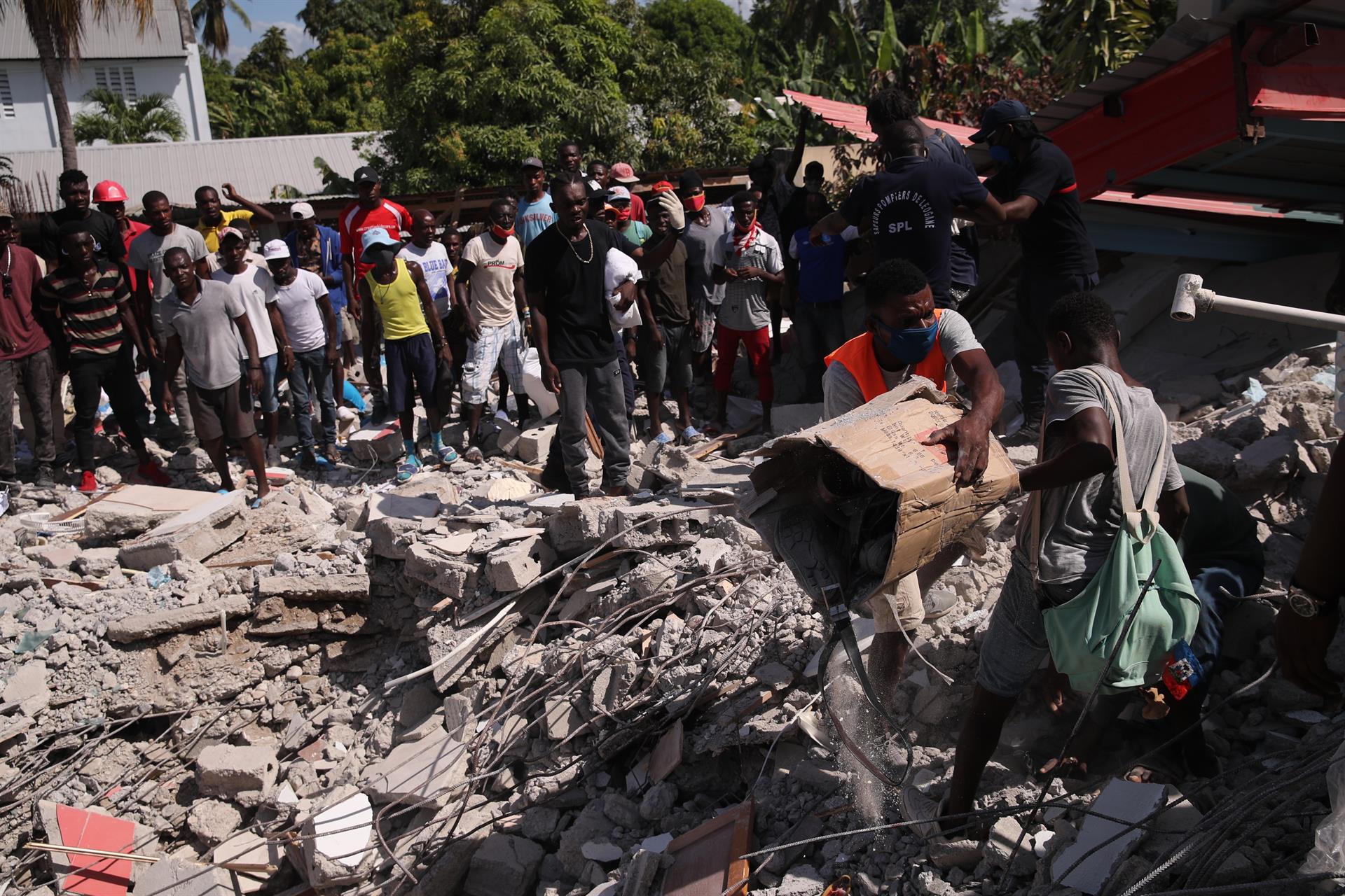 Sube a 1.419 el número de muertos por el terremoto en Haití - Noticias de hoy en República Dominicana | De Último Minuto