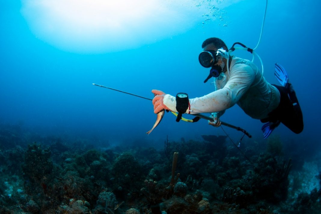 Estudio revela discapacidad en pescadores artesanales por malas prácticas de buceo