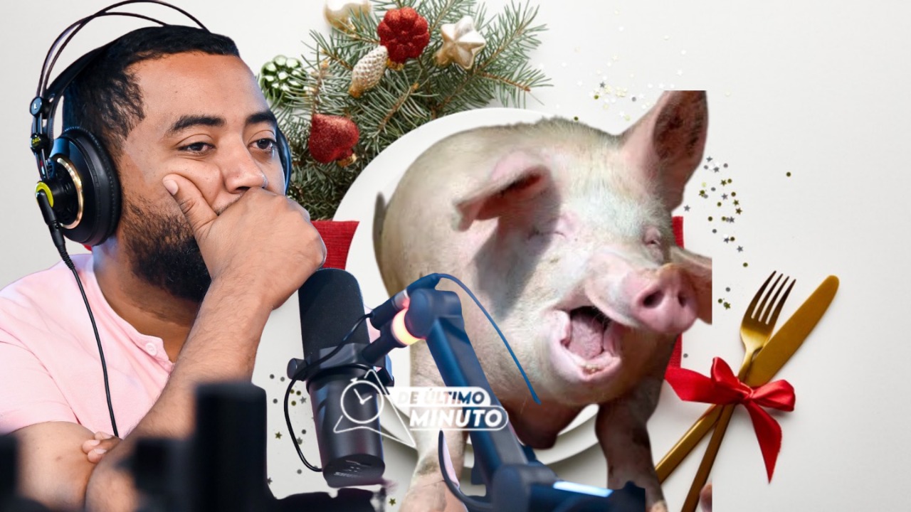 Salubridad de los cerdos pone en peligro la cena navideña - Noticias de hoy en República Dominicana | De Último Minuto