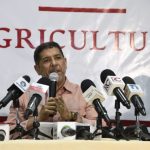 Congelarán carne de cerdos sanos para reducir las pérdidas de porcicultores - Noticias de hoy en República Dominicana | De Último Minuto