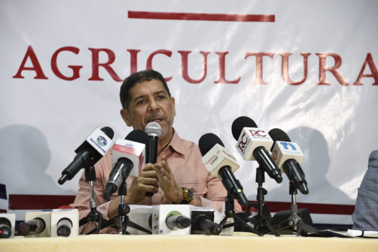 Congelarán carne de cerdos sanos para reducir las pérdidas de porcicultores - Noticias de hoy en República Dominicana | De Último Minuto