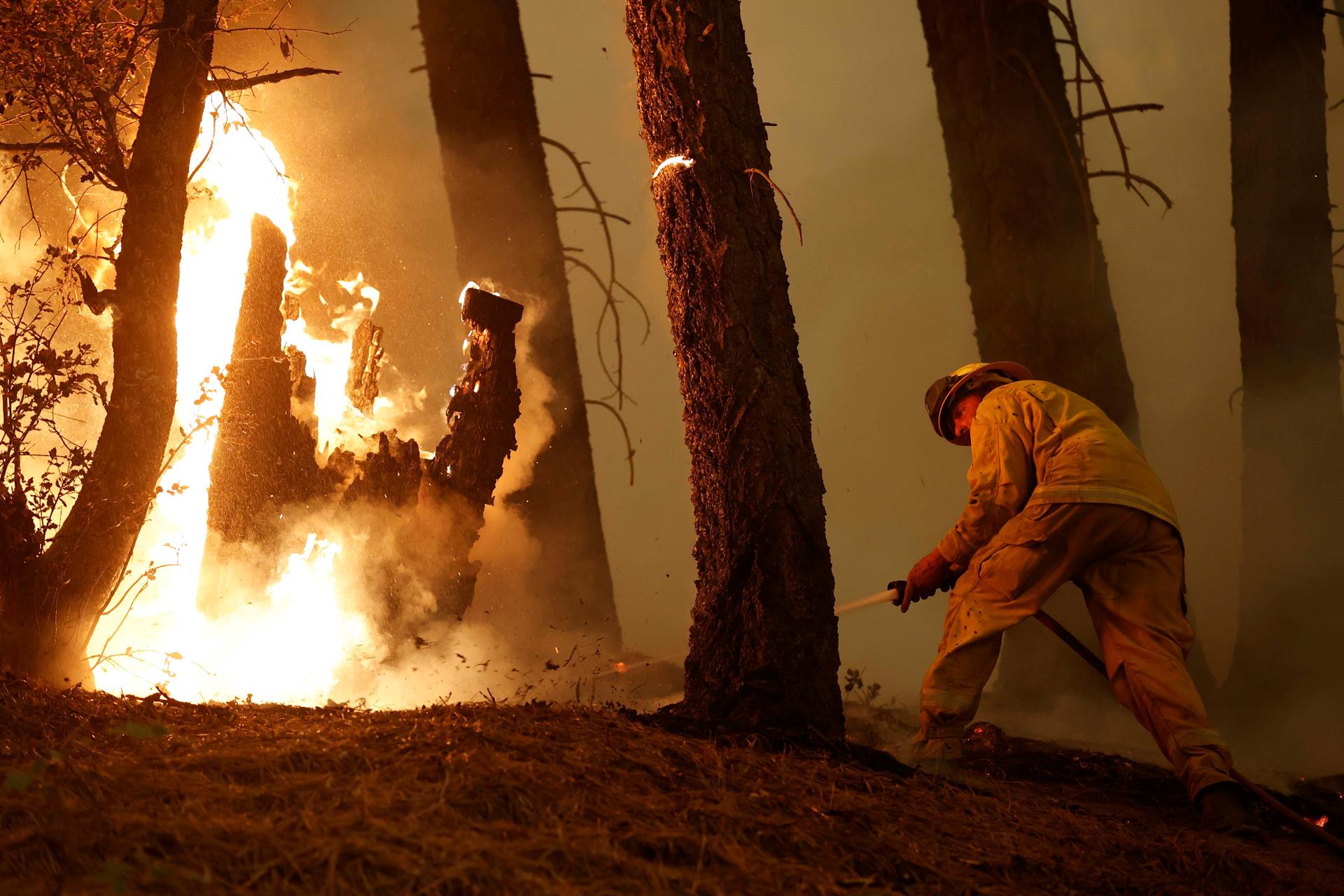 Un nuevo incendio en California arrasa un pueblo entero - Noticias de hoy en República Dominicana | De Último Minuto