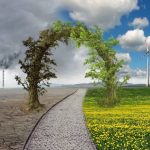 Iberoamérica se une para crear agenda medioambiental y parar cambio climático - Noticias de hoy en República Dominicana | De Último Minuto