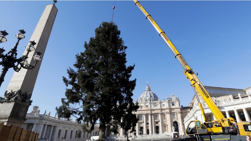 El Vaticano instala un enorme árbol de Navidad en San Pedro