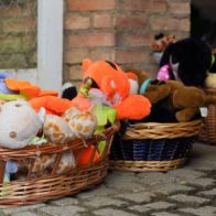 Hospital de Peluches, una idea de reciclaje que alegra a niños venezolanos - Noticias de hoy en República Dominicana | De Último Minuto