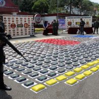Incautan 12 kilos de cocaína en la costa noroeste de Venezuela - Noticias de hoy en República Dominicana | De Último Minuto