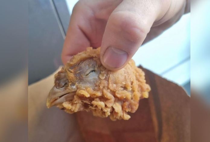 Pidió una orden de alitas y recibió una cabeza de pollo completa en su orden