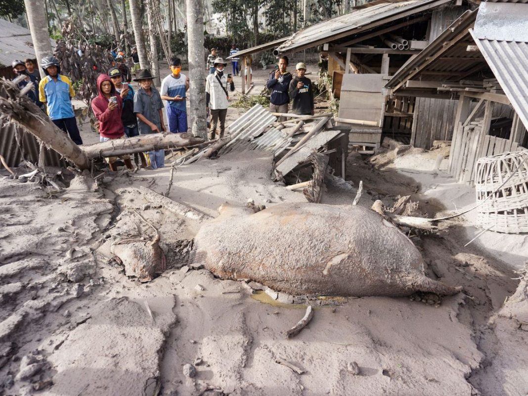 Erupción del Semeru deja al menos 13 muertos y un paisaje lunar