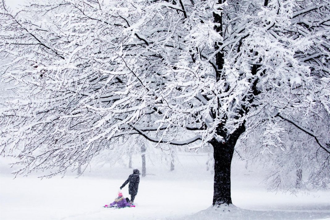 Fuerte tormenta de nieve paraliza Washington durante horas