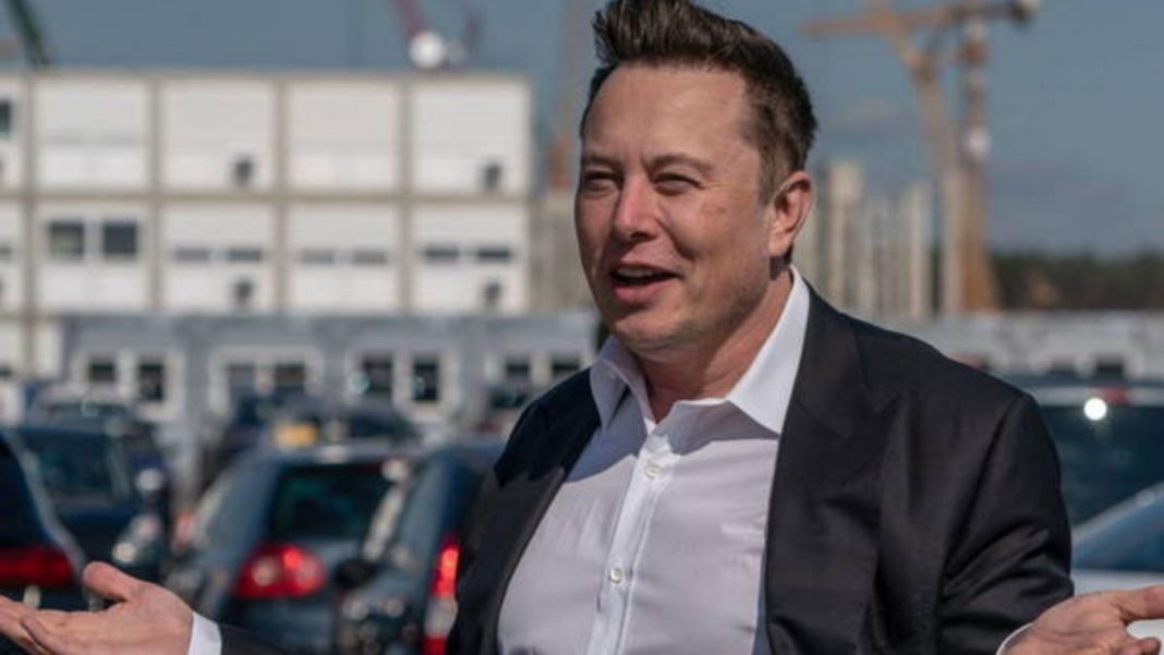 Elon Musk quiere crear su propia red social para hacerle frente a Twitter