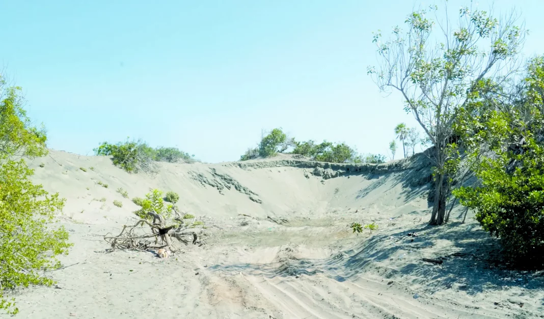 Medio Ambiente se querella contra comerciante que vendía arena de Las Dunas