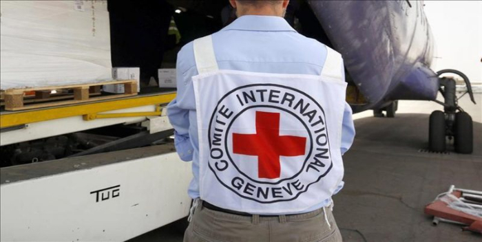 Cruz Roja Internacional sufre robo de información sensible ciberataque