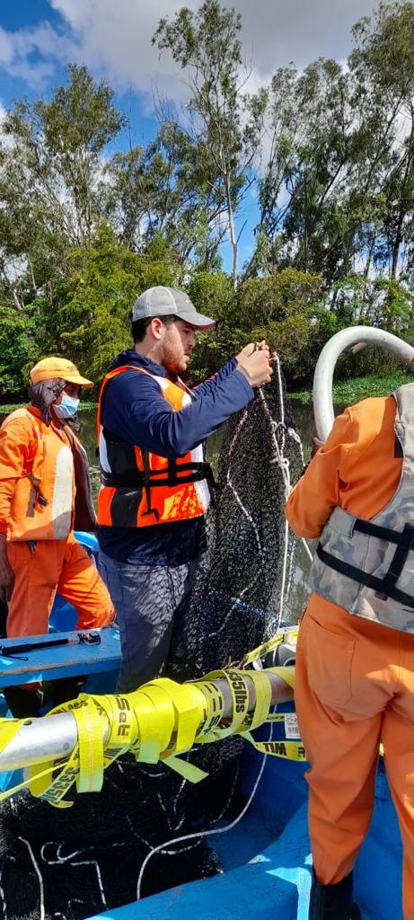 Aseguran se debe preparar plan para evitar contaminación por sargazo en RD