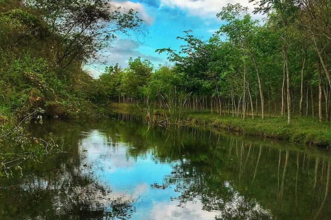 Crean una reserva natural en los humedales de Laguna Prieta