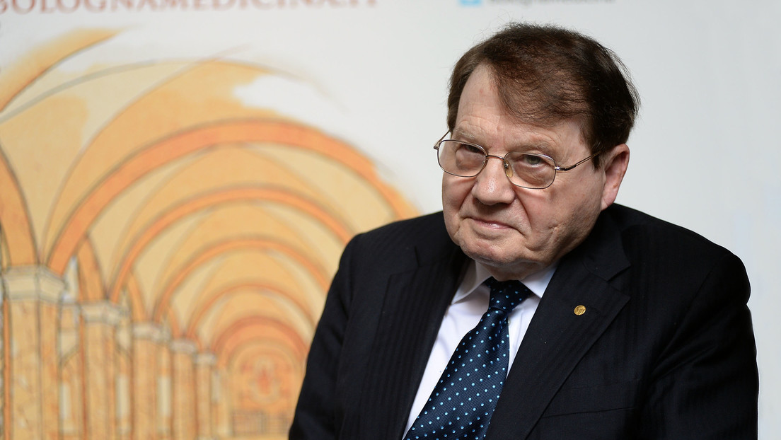 Fallece a los 89 años Luc Montagnier, el nobel francés que descubrió el VIH - Noticias de hoy en República Dominicana | De Último Minuto