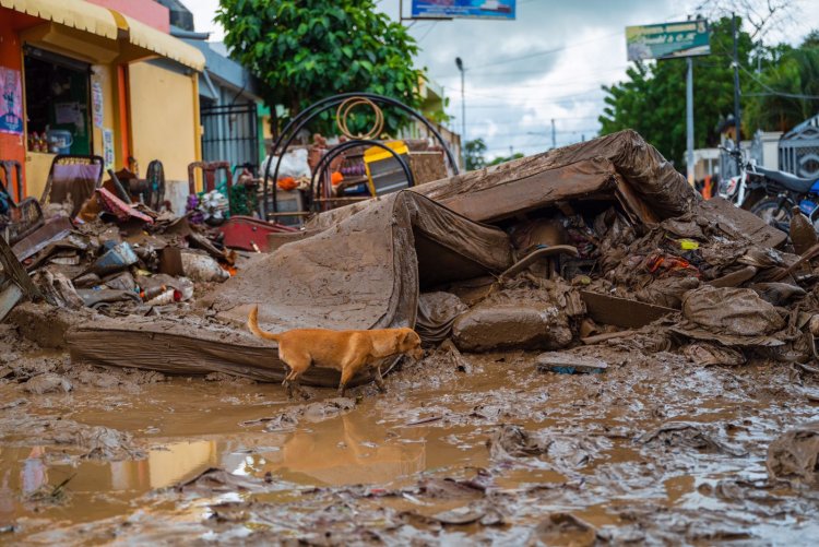 Suben a 7,440 los desplazados a causa de las lluvias en el norte