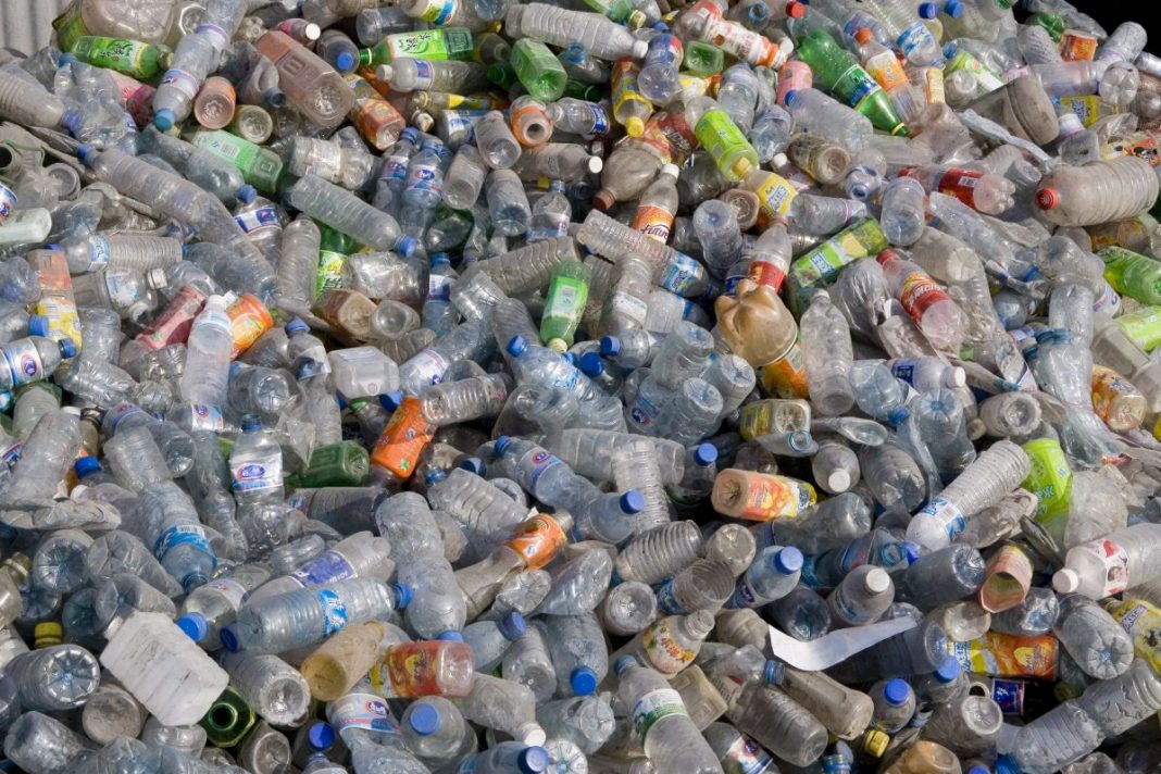 Ecologistas denuncian plástico reciclado representa sólo el 17 % de las botellas