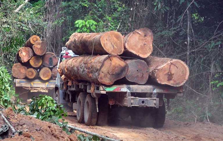 Indígenas y menonitas enfrentados por la deforestación en la Amazonía peruana