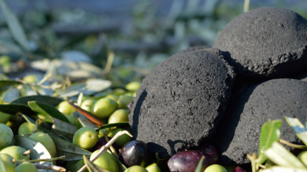 Ya en la Edad de Piedra el ser humano utilizaba aceitunas como combustible