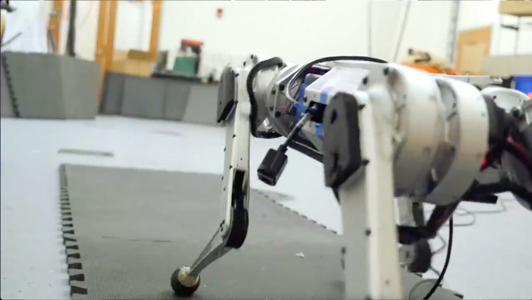 Mini Chita robot del MIT aprende por inteligencia artificial a correr y alcanza un récord de velocidad