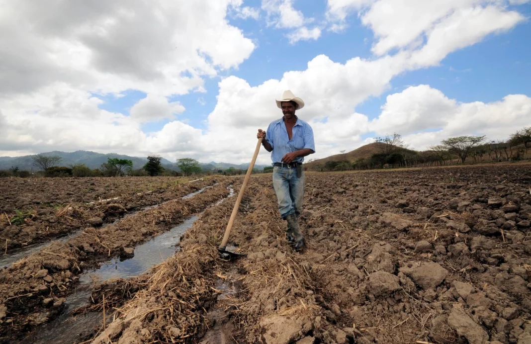 Estudio revela que el suelo de América es clave para mitigar cambio climático