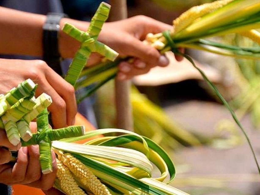 ¿Sabes por qué los Católicos conmemoran el Domingo de Ramos? - Noticias de hoy en República Dominicana | De Último Minuto